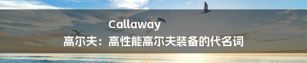 Callaway 高尔夫：高性能高尔夫装备的代名词