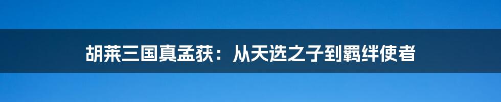 胡莱三国真孟获：从天选之子到羁绊使者