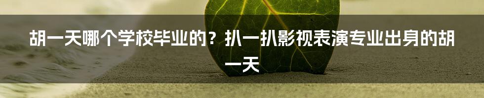 胡一天哪个学校毕业的？扒一扒影视表演专业出身的胡一天