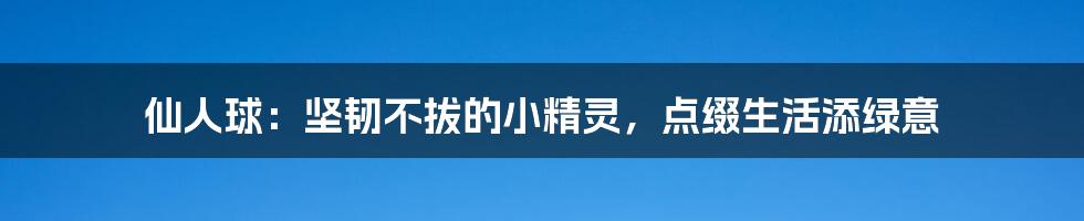 仙人球：坚韧不拔的小精灵，点缀生活添绿意