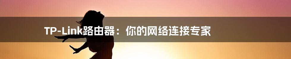 TP-Link路由器：你的网络连接专家