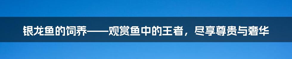 银龙鱼的饲养——观赏鱼中的王者，尽享尊贵与奢华