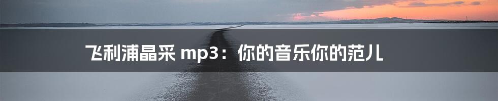 飞利浦晶采 mp3：你的音乐你的范儿