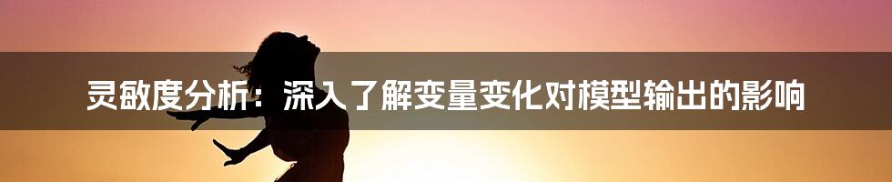 灵敏度分析：深入了解变量变化对模型输出的影响