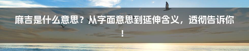 麻吉是什么意思？从字面意思到延伸含义，透彻告诉你！