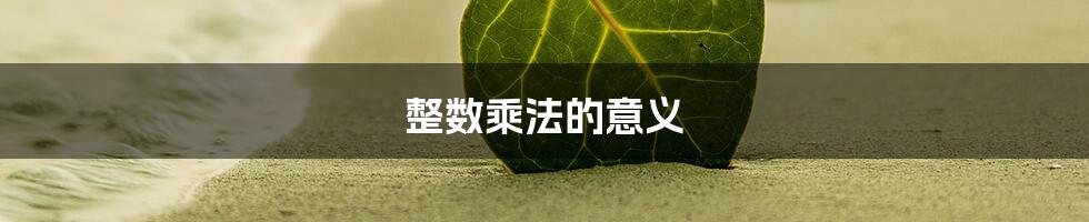 整数乘法的意义