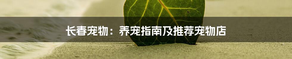 长春宠物：养宠指南及推荐宠物店