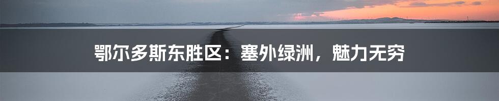 鄂尔多斯东胜区：塞外绿洲，魅力无穷