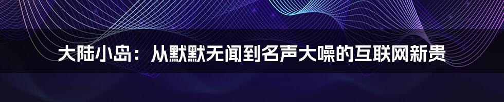 大陆小岛：从默默无闻到名声大噪的互联网新贵