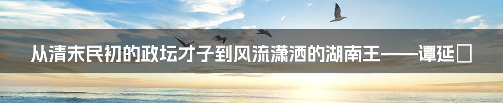 从清末民初的政坛才子到风流潇洒的湖南王——谭延闿