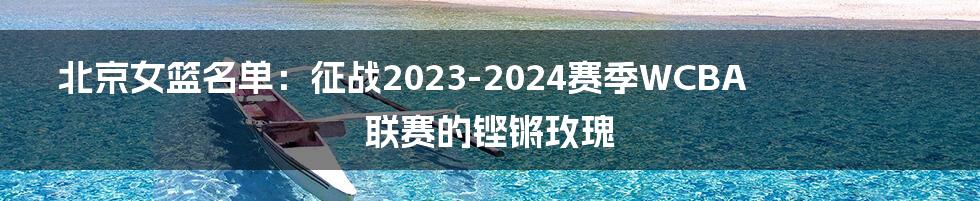 北京女篮名单：征战2023-2024赛季WCBA联赛的铿锵玫瑰