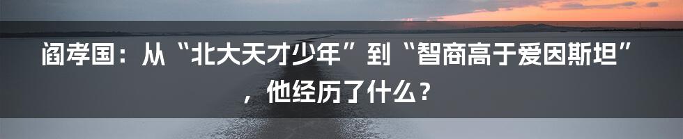 阎孝国：从“北大天才少年”到“智商高于爱因斯坦”，他经历了什么？