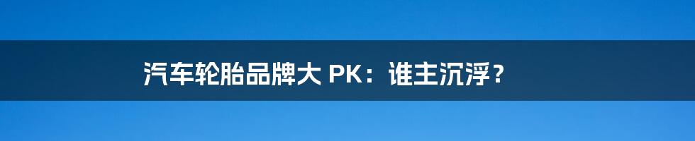 汽车轮胎品牌大 PK：谁主沉浮？