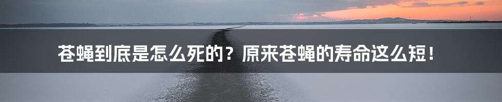 苍蝇到底是怎么死的？原来苍蝇的寿命这么短！