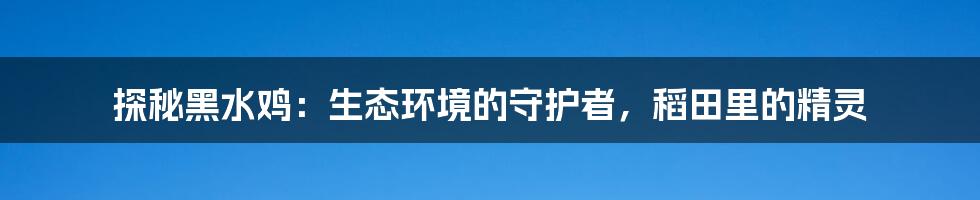 探秘黑水鸡：生态环境的守护者，稻田里的精灵