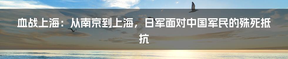 血战上海：从南京到上海，日军面对中国军民的殊死抵抗