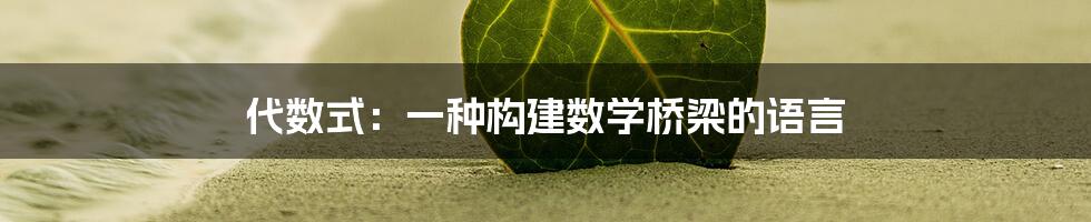 代数式：一种构建数学桥梁的语言