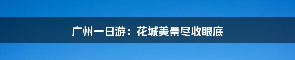 广州一日游：花城美景尽收眼底