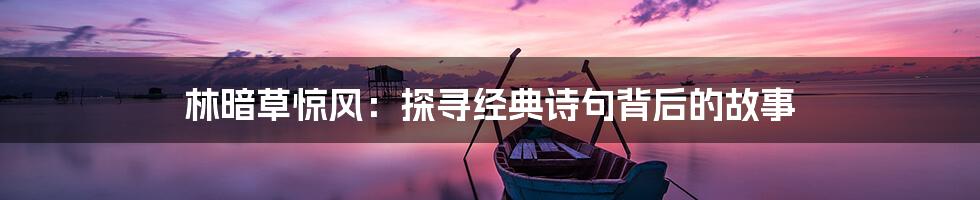 林暗草惊风：探寻经典诗句背后的故事