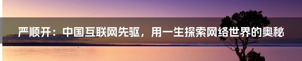 严顺开：中国互联网先驱，用一生探索网络世界的奥秘