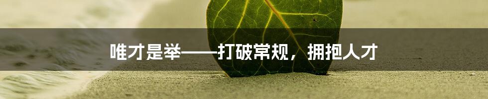 唯才是举——打破常规，拥抱人才