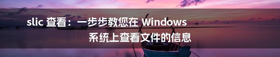 slic 查看：一步步教您在 Windows 系统上查看文件的信息