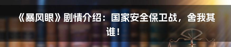 《暴风眼》剧情介绍：国家安全保卫战，舍我其谁！