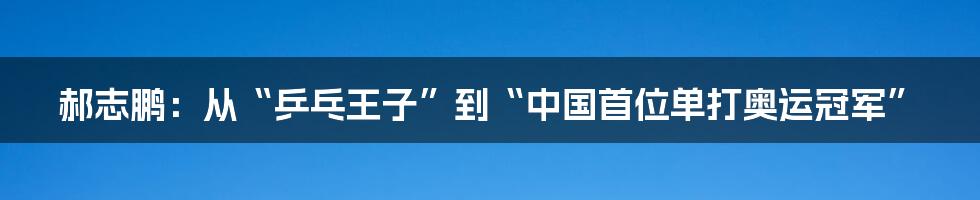 郝志鹏：从“乒乓王子”到“中国首位单打奥运冠军”