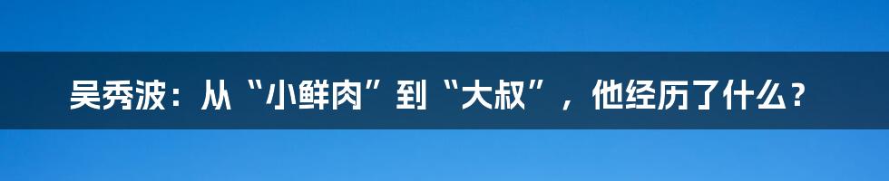 吴秀波：从“小鲜肉”到“大叔”，他经历了什么？