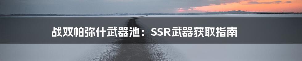 战双帕弥什武器池：SSR武器获取指南