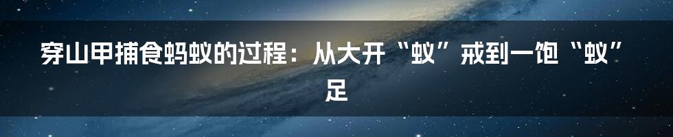 穿山甲捕食蚂蚁的过程：从大开“蚁”戒到一饱“蚁”足