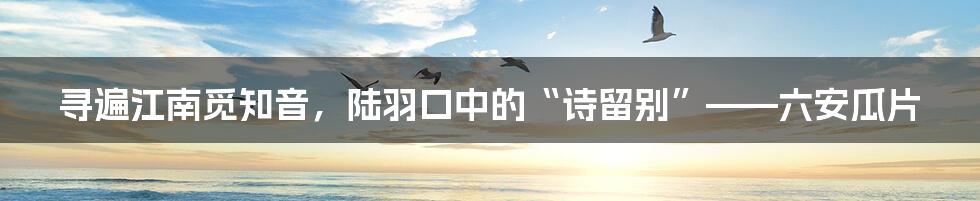 寻遍江南觅知音，陆羽口中的“诗留别”——六安瓜片