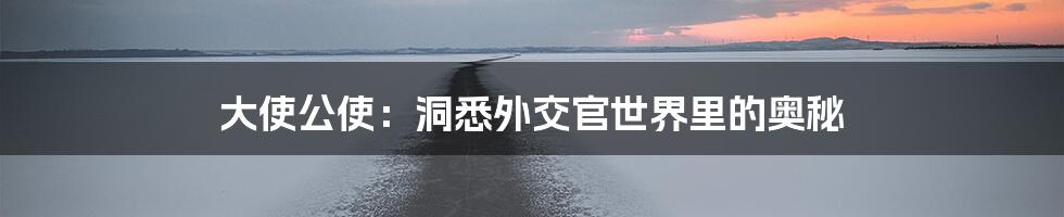 大使公使：洞悉外交官世界里的奥秘