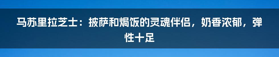 马苏里拉芝士：披萨和焗饭的灵魂伴侣，奶香浓郁，弹性十足