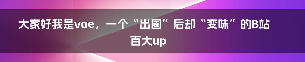 大家好我是vae，一个“出圈”后却“变味”的B站百大up