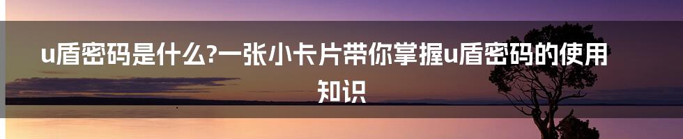 u盾密码是什么?一张小卡片带你掌握u盾密码的使用知识