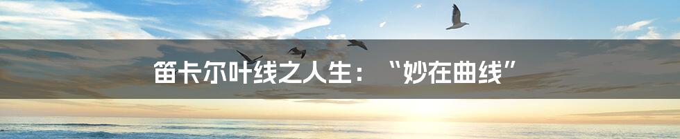 笛卡尔叶线之人生：“妙在曲线”