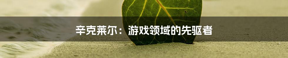 辛克莱尔：游戏领域的先驱者