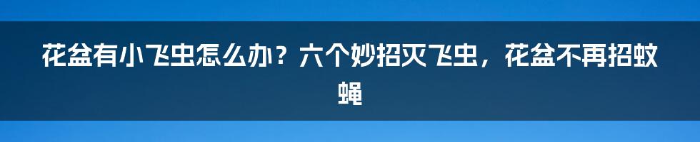 花盆有小飞虫怎么办？六个妙招灭飞虫，花盆不再招蚊蝇