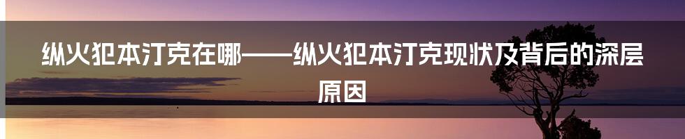 纵火犯本汀克在哪——纵火犯本汀克现状及背后的深层原因