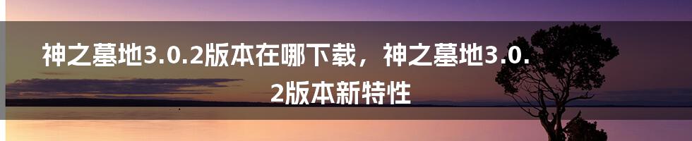 神之墓地3.0.2版本在哪下载，神之墓地3.0.2版本新特性