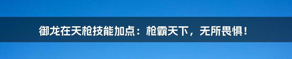 御龙在天枪技能加点：枪霸天下，无所畏惧！