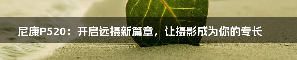 尼康P520：开启远摄新篇章，让摄影成为你的专长