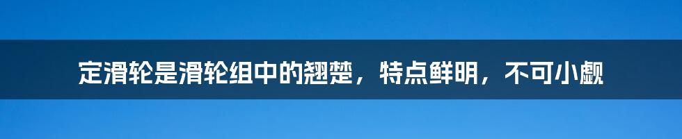 定滑轮是滑轮组中的翘楚，特点鲜明，不可小觑