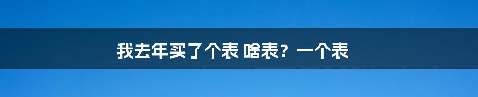 我去年买了个表 啥表？一个表