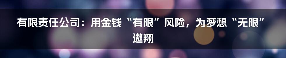 有限责任公司：用金钱“有限”风险，为梦想“无限”遨翔