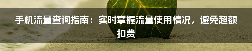 手机流量查询指南：实时掌握流量使用情况，避免超额扣费