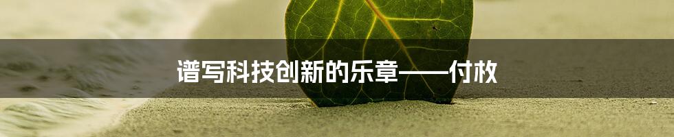 谱写科技创新的乐章——付枚