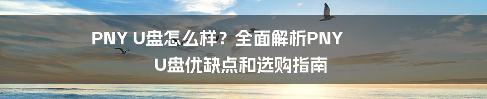 PNY U盘怎么样？全面解析PNY U盘优缺点和选购指南