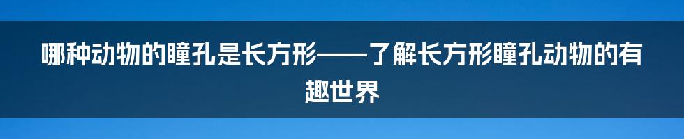 哪种动物的瞳孔是长方形——了解长方形瞳孔动物的有趣世界